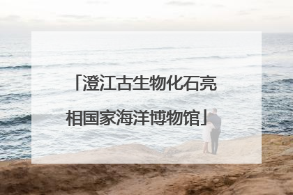 澄江古生物化石亮相国家海洋博物馆