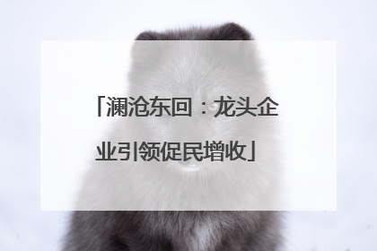 澜沧东回：龙头企业引领促民增收