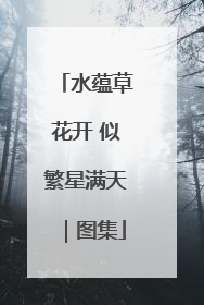 水蕴草花开 似繁星满天｜图集