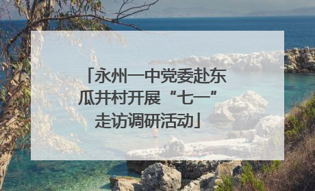 永州一中党委赴东瓜井村开展“七一”走访调研活动