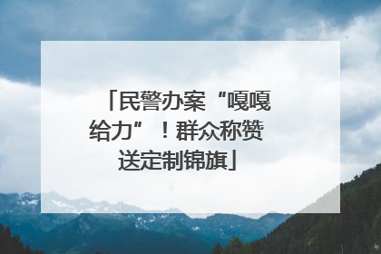 民警办案“嘎嘎给力”！群众称赞送定制锦旗