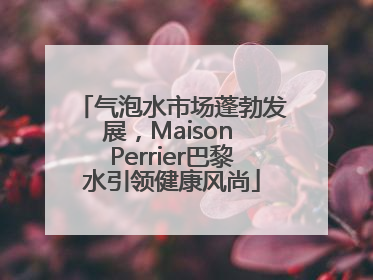 气泡水市场蓬勃发展，Maison Perrier巴黎水引领健康风尚