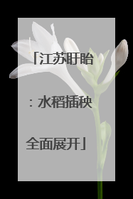 江苏盱眙：水稻插秧全面展开