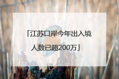 江苏口岸今年出入境人数已超200万