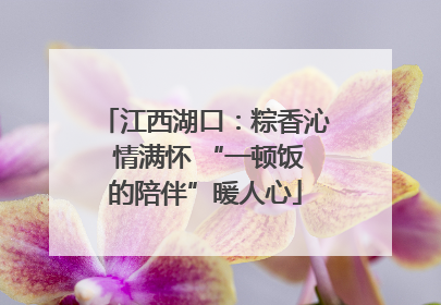 江西湖口：粽香沁 情满怀 “一顿饭的陪伴”暖人心