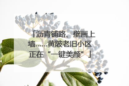 沥青铺路、壁画上墙……黄陂老旧小区正在“一键美颜”