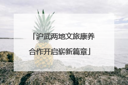 沪武两地文旅康养合作开启崭新篇章