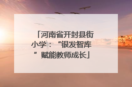 河南省开封县街小学：“银发智库”赋能教师成长