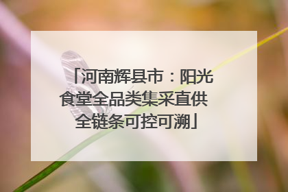河南辉县市：阳光食堂全品类集采直供 全链条可控可溯