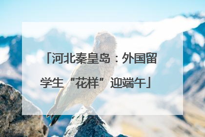 河北秦皇岛：外国留学生“花样”迎端午