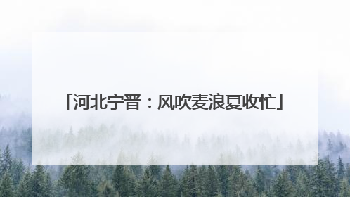 河北宁晋：风吹麦浪夏收忙