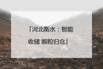 河北衡水：智能收储 颗粒归仓