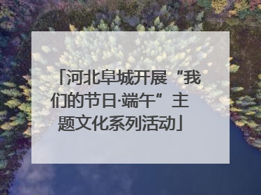 河北阜城开展“我们的节日·端午”主题文化系列活动