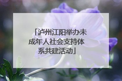 泸州江阳举办未成年人社会支持体系共建活动