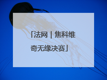 法网｜焦科维奇无缘决赛