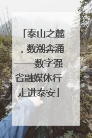 泰山之麓，数潮奔涌——数字强省融媒体行走进泰安