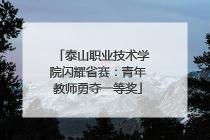 泰山职业技术学院闪耀省赛：青年教师勇夺一等奖