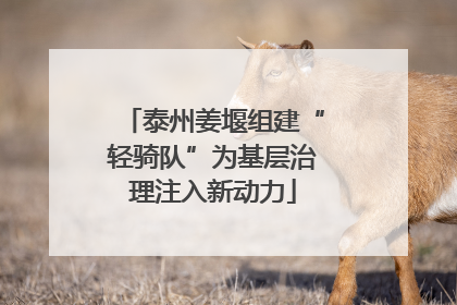 泰州姜堰组建“轻骑队”为基层治理注入新动力