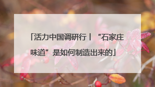 活力中国调研行丨“石家庄味道”是如何制造出来的