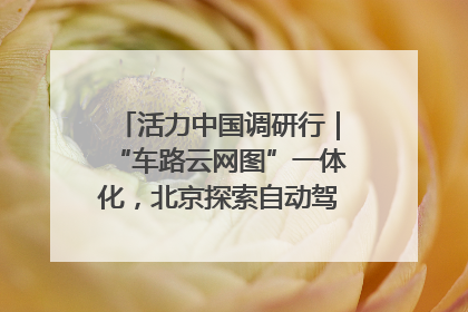 活力中国调研行｜“车路云网图”一体化，北京探索自动驾驶“加速度”