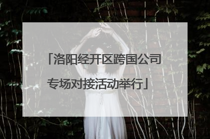 洛阳经开区跨国公司专场对接活动举行