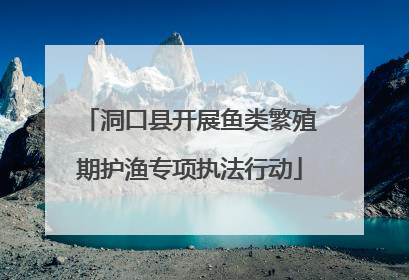 洞口县开展鱼类繁殖期护渔专项执法行动
