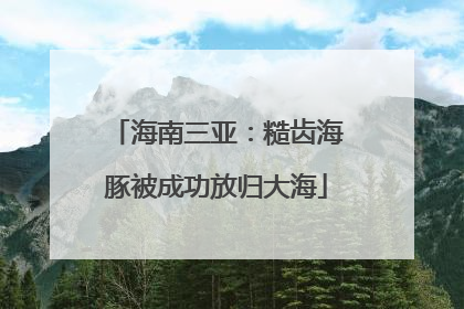 海南三亚：糙齿海豚被成功放归大海