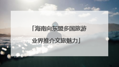 海南向东盟多国旅游业界推介文旅魅力