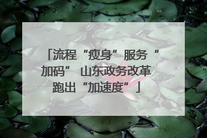 流程“瘦身”服务“加码” 山东政务改革跑出“加速度”