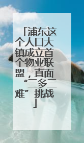 浦东这个人口大镇成立首个物业联盟，直面“三多三难”挑战