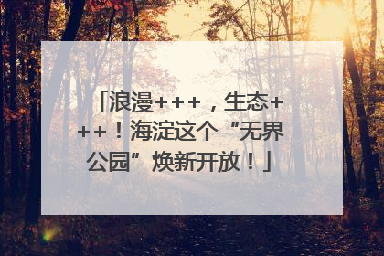 浪漫+++，生态+++！海淀这个“无界公园”焕新开放！