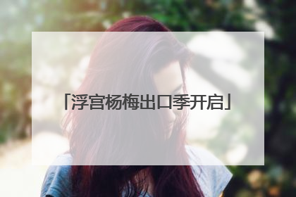浮宫杨梅出口季开启