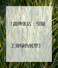 淄博张店：引领工业绿色转型