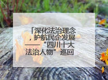 深化法治理念，护航民企发展——“四川十大法治人物”巡回宣讲走进宜宾