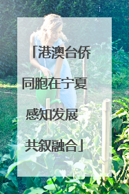 港澳台侨同胞在宁夏感知发展 共叙融合