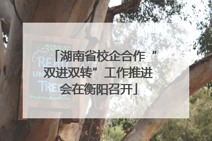 湖南省校企合作“双进双转”工作推进会在衡阳召开