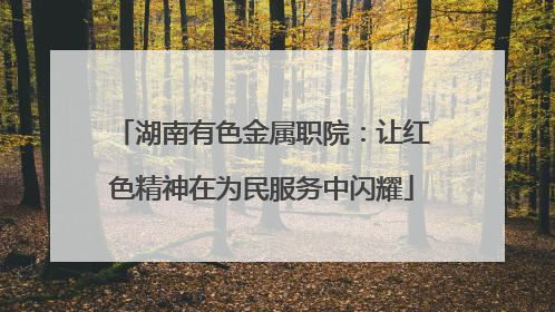 湖南有色金属职院：让红色精神在为民服务中闪耀