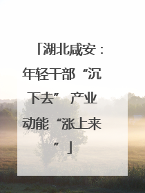 湖北咸安：年轻干部“沉下去” 产业动能“涨上来”