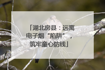 湖北房县：远离电子烟“陷阱”，筑牢童心防线
