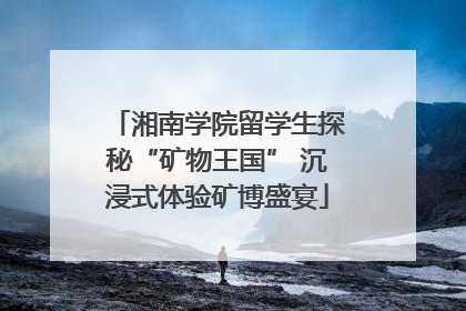 湘南学院留学生探秘“矿物王国” 沉浸式体验矿博盛宴