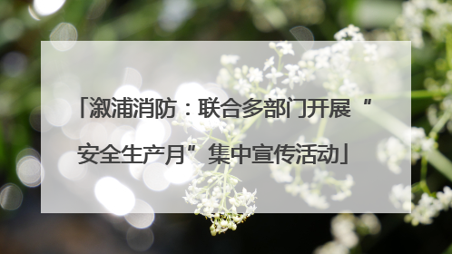 溆浦消防：联合多部门开展“安全生产月”集中宣传活动