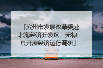 滨州市发展改革委赴北海经济开发区、无棣县开展经济运行调研