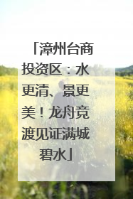 漳州台商投资区：水更清、景更美！龙舟竞渡见证满城碧水