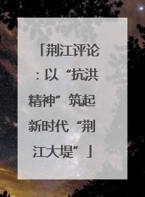 荆江评论：以“抗洪精神”筑起新时代“荆江大堤”