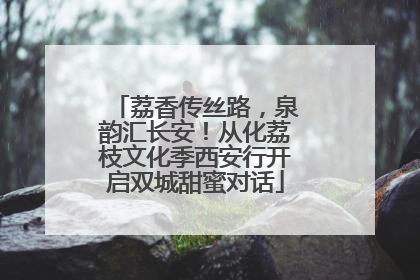 荔香传丝路，泉韵汇长安！从化荔枝文化季西安行开启双城甜蜜对话