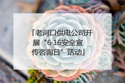 老河口供电公司开展“6·16安全宣传咨询日”活动