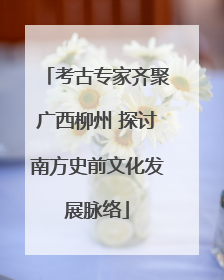 考古专家齐聚广西柳州 探讨南方史前文化发展脉络