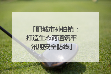 肥城市孙伯镇：打造生态河道筑牢汛期安全防线