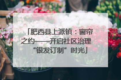 肥西县上派镇：窗帘之约——开启社区治理“银发订制”时光