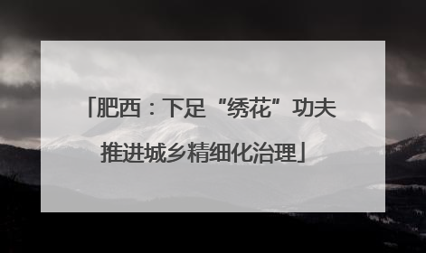 肥西：下足“绣花”功夫 推进城乡精细化治理